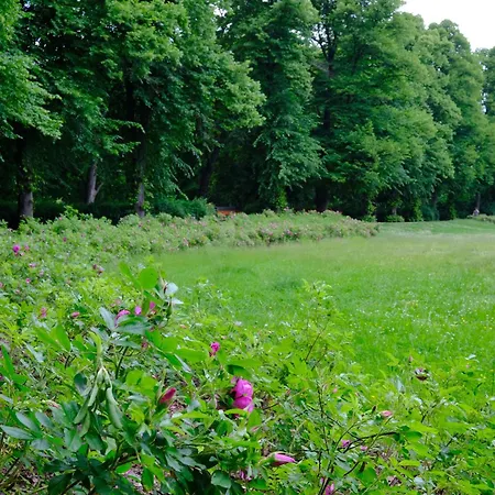 Schickes In Direkt Am Roemerplatz Zwickau